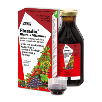 Floradix 250ml Salus
